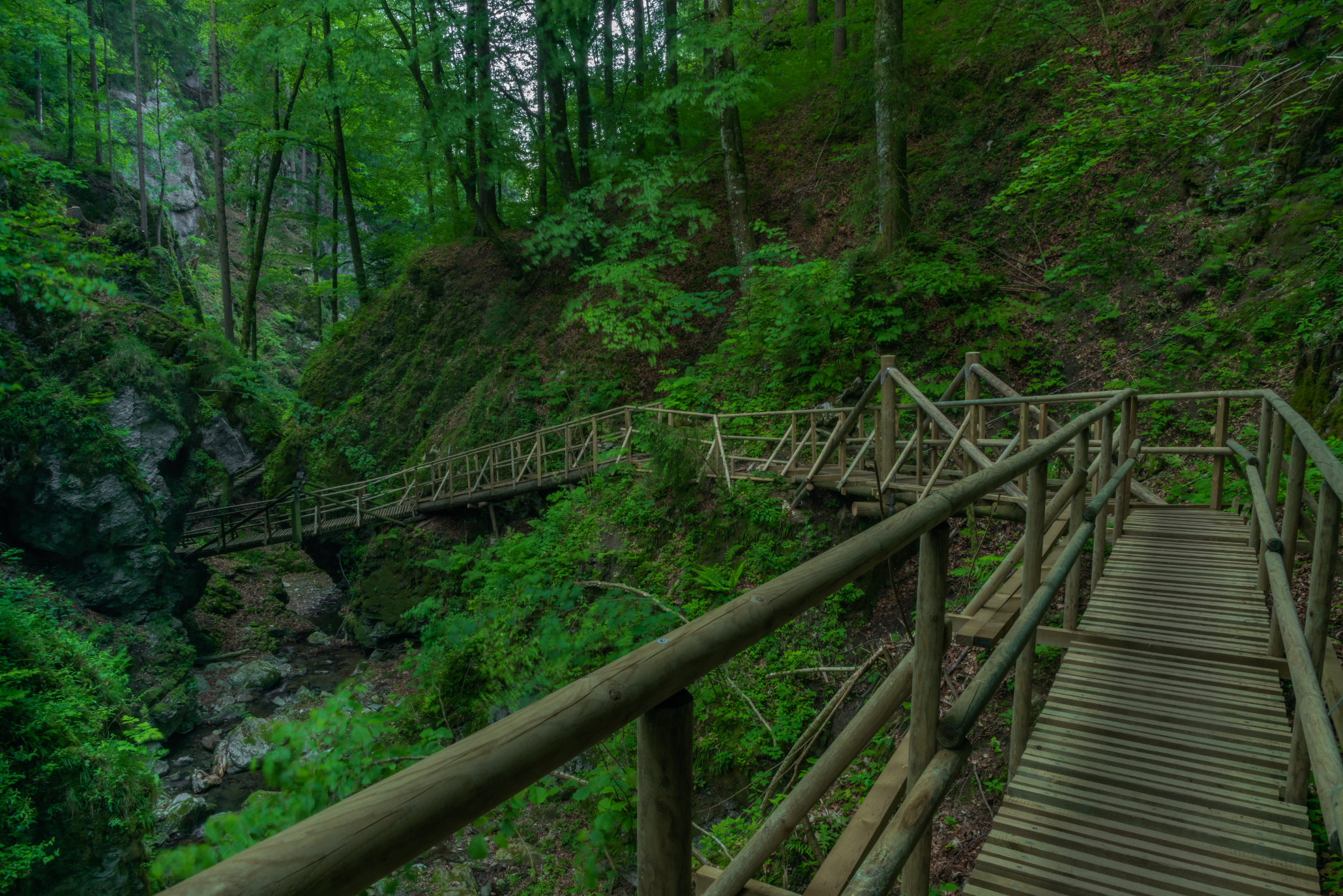 adobestock-460174660